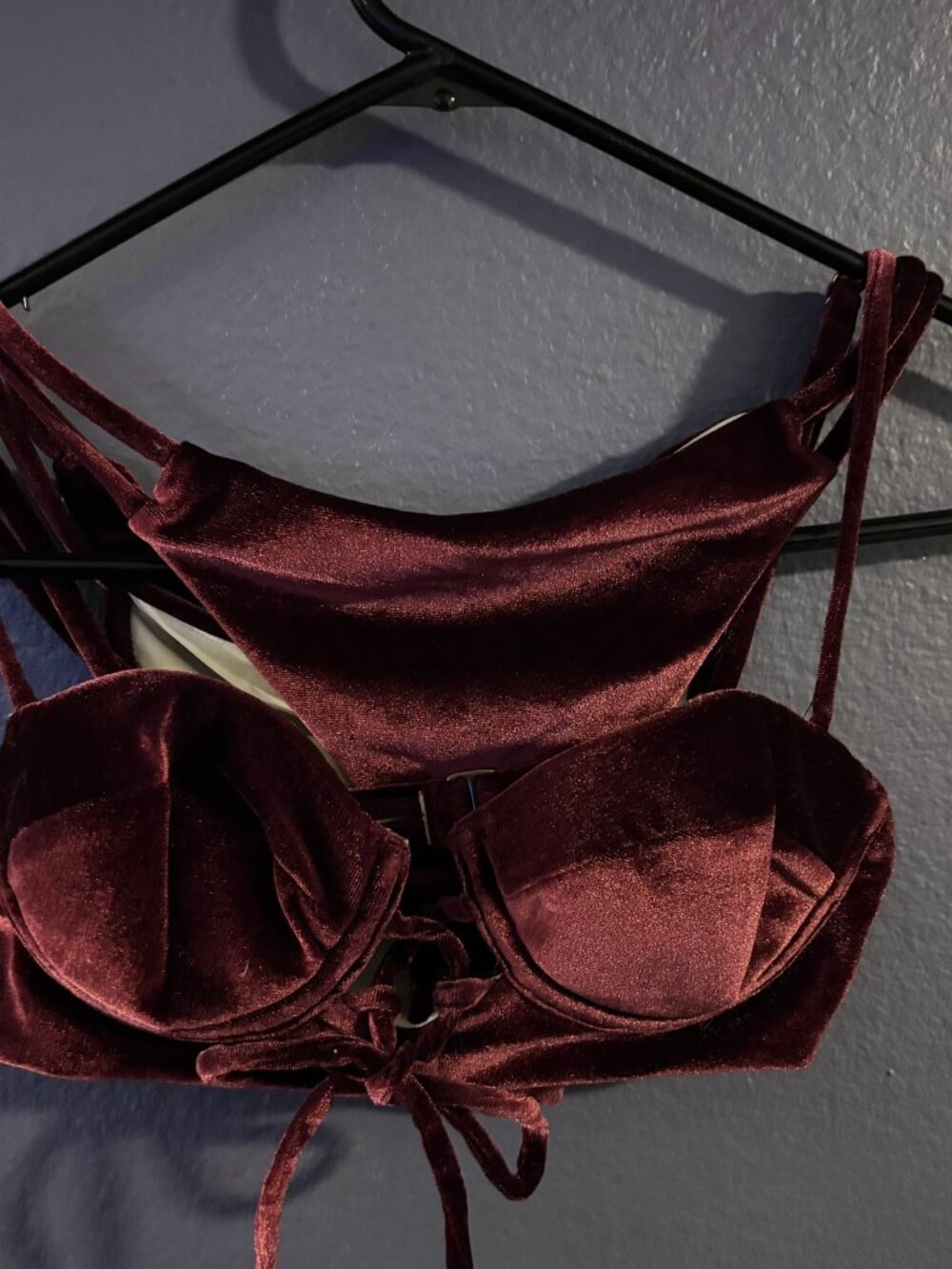 Burgundy Velvet 2 piece Bikini Swimsuit Set